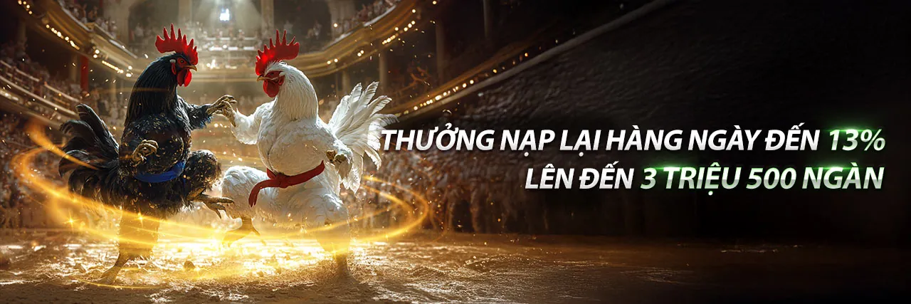 Tổng quan về xu hướng cá cược trực tuyến tại MCW Nhà Cái